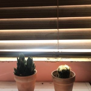 Meet your Posher, Eve